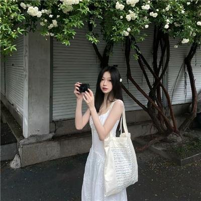 大明风华